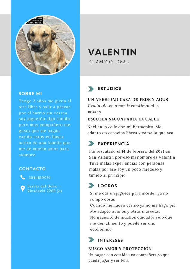 Currículum Vitae de Valentín. Foto: Twitter.