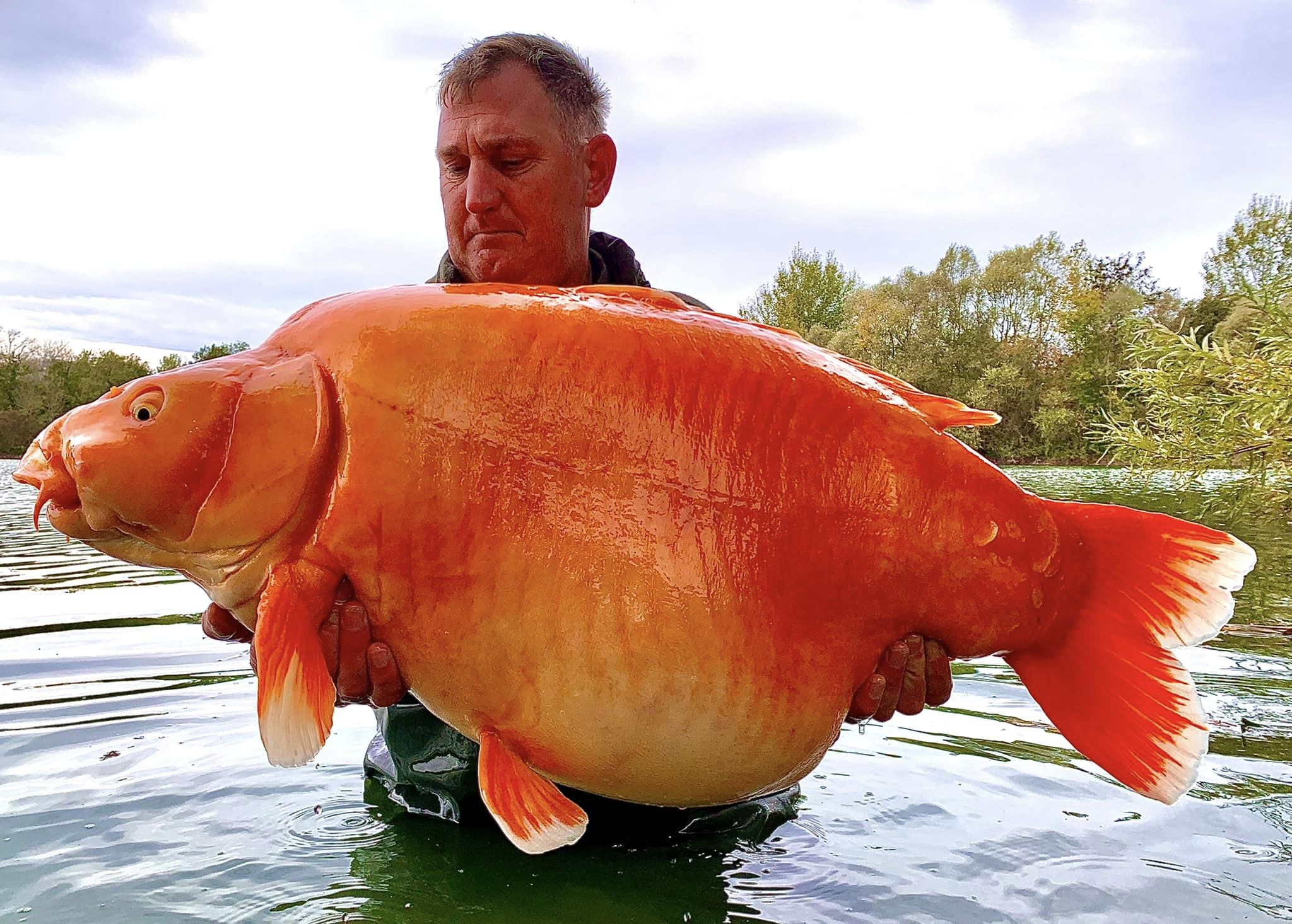 Pescado de 60 kilos en Francia. Foto de Bluewater Lakes.